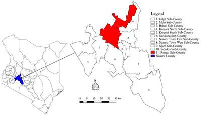 Risk Factors for Outbreaks of Lumpy Skin Disease and the Economic Impact in Cattle Farms of Nakuru County, Kenya